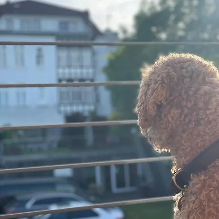 Sonniges Hinterhaus Og Innenstadt Osnabrück Buitenkant foto