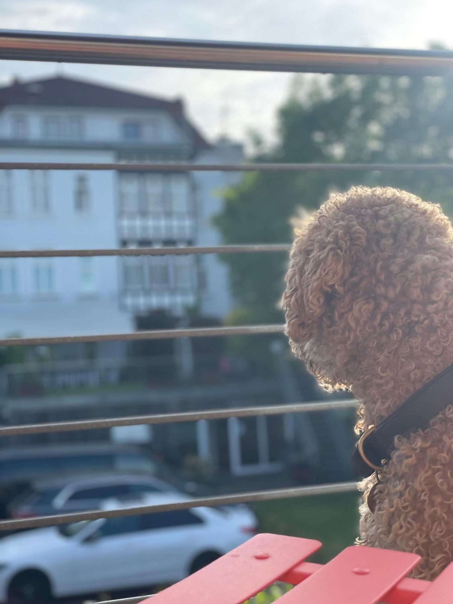 Sonniges Hinterhaus Og Innenstadt Apartment *